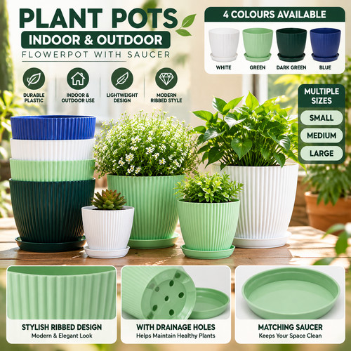 Plant pots indoor - plant,
