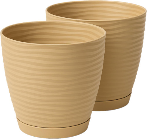 Large plant pots indoor - plant,