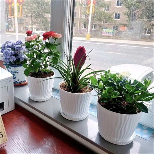 Plant pots flower indoor - 3x,