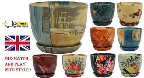 Ceramic plant pots - plant, saucer