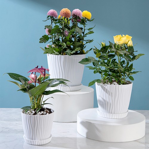 3pcs indoor plant pots - plant,