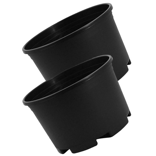 Pcs large flower - pcs, pot