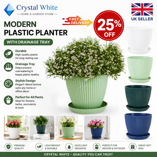 Plant pots indoor - plant, outdoor
