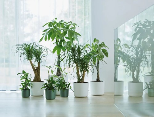 Flower pots recycled - flower, pots,