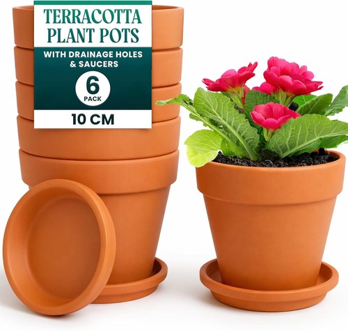 Pack terracotta plant pots - plant,