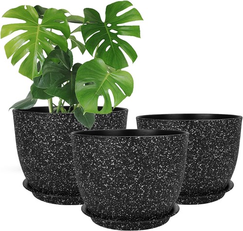 Csyy 20cm plant - csyy,