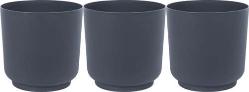 Plant pot flowerpot round - plant,