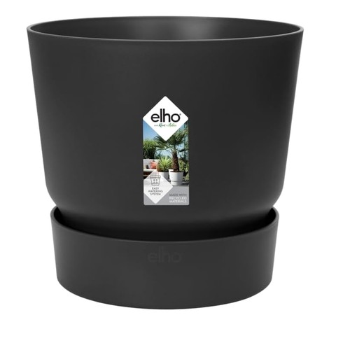 Greenville 18cm flower - 18cm, pot