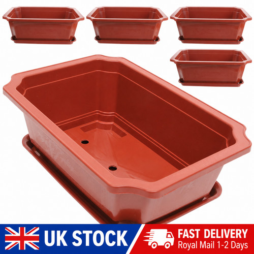 Sets bonsai pot large - sets,