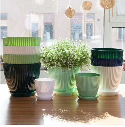 Plant pots indoor outdoor - plant,