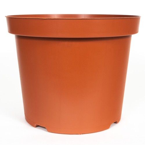 Plastic plant pot - plant, flower