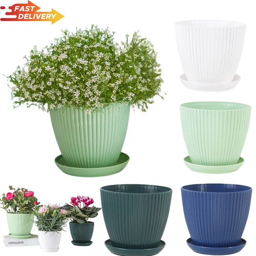 Plant pots indoor outdoor - plant,