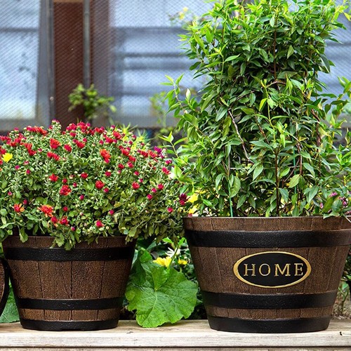 Flowerpot decorative plant - flowerpot,