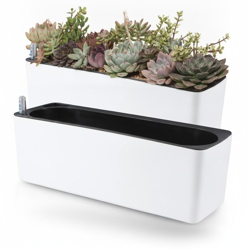 Self watering plant - watering, 2