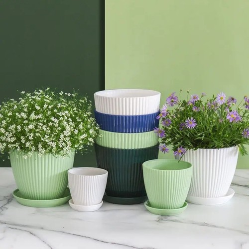Round plant pots with - pots, tray