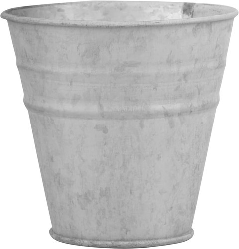 Fallen fruits grey zinc - fruits, cm