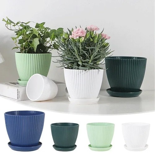 Plant pots indoor outdoor - plant,