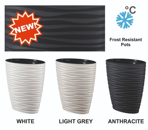 Spring sale offer plant pot - ,