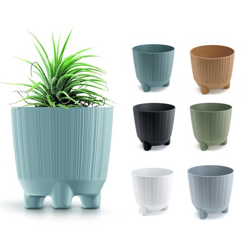 Plant pots indoor outdoor - plant,