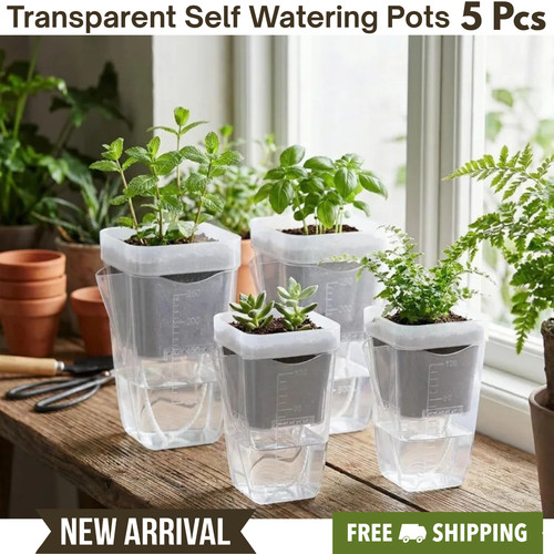 Transparent self watering - transparent,