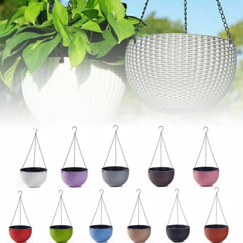 Hanging baskets flower - baskets,