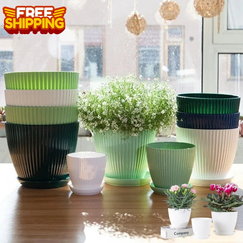 Plant pots indoor outdoor - plant,