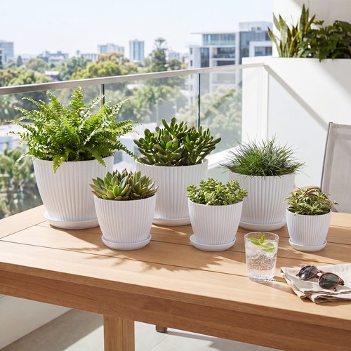Plastic plant pots - 3-6x,