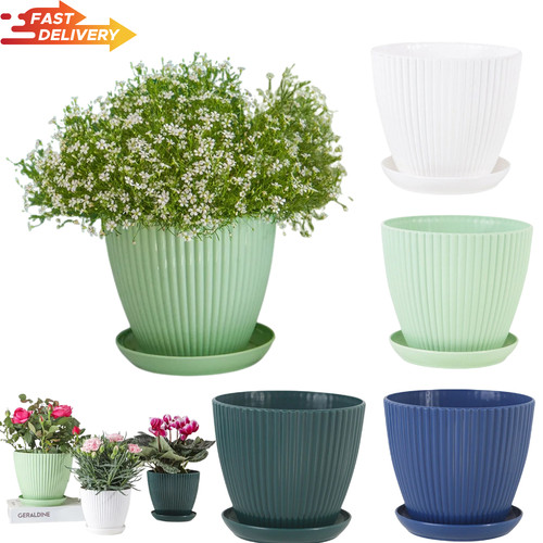 Plant pots indoor - plant,